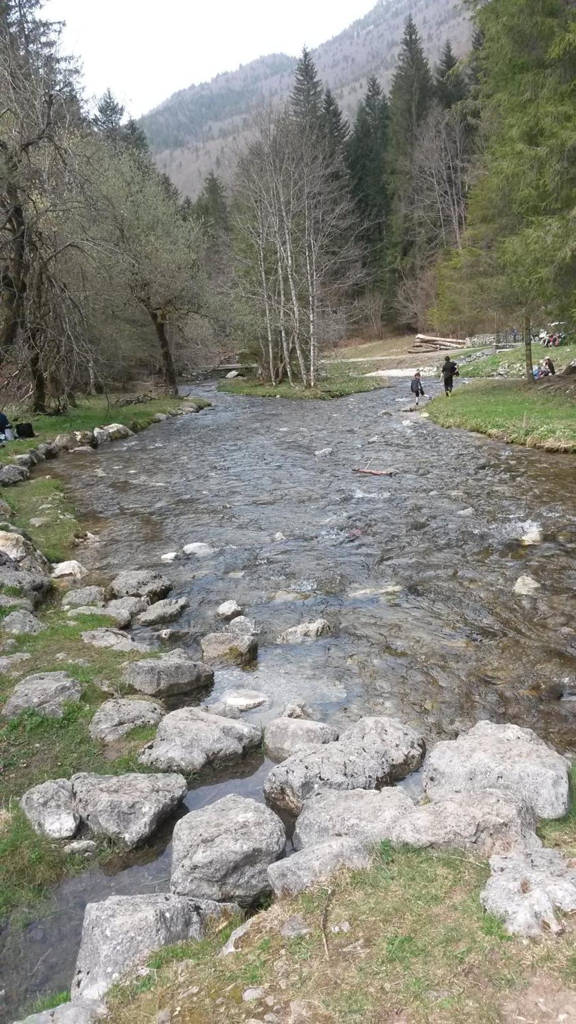 Les Tilleuls Saint-Jean-d'Avelanne Exteriör bild