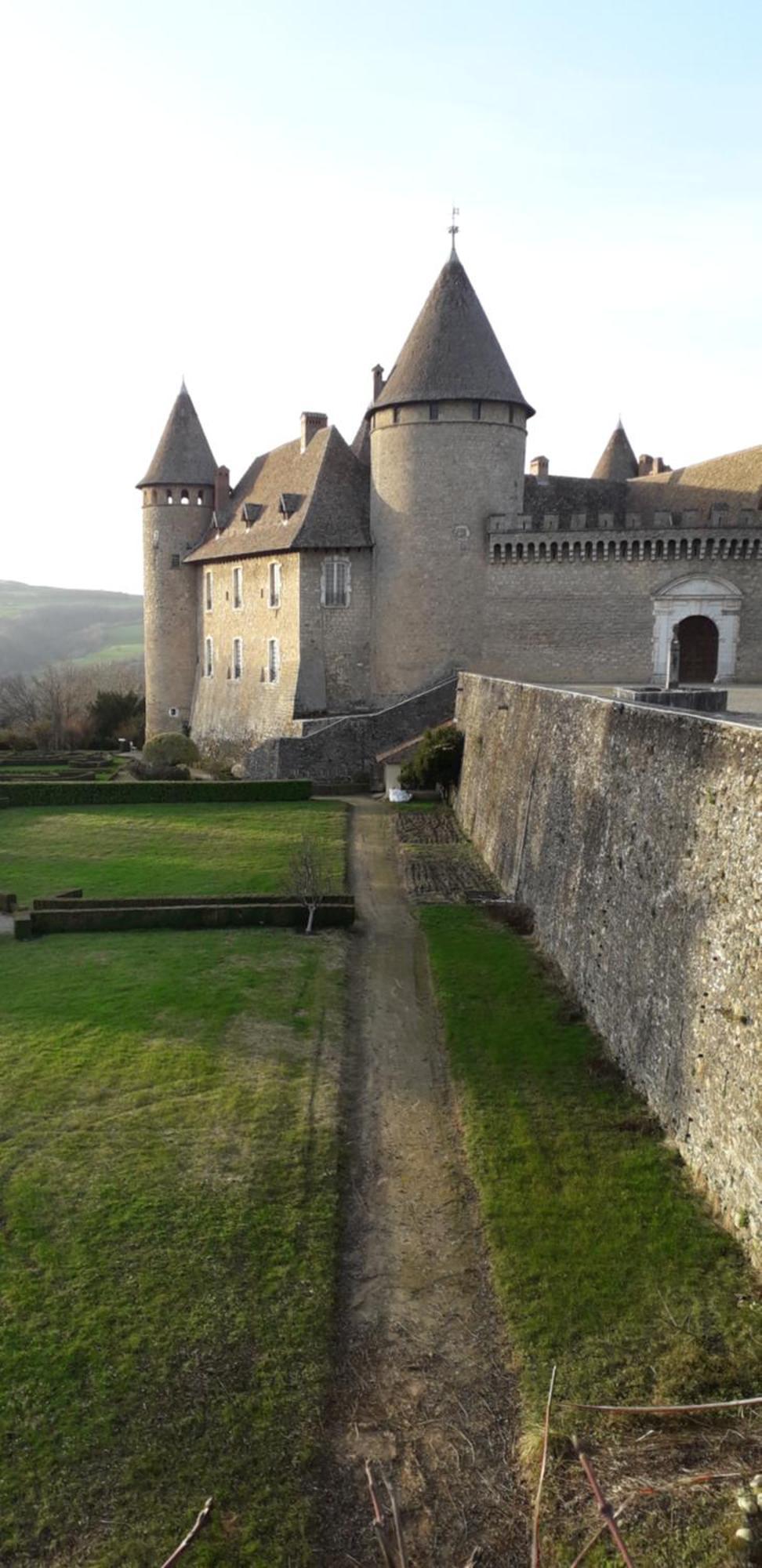 Les Tilleuls Saint-Jean-d'Avelanne Exteriör bild