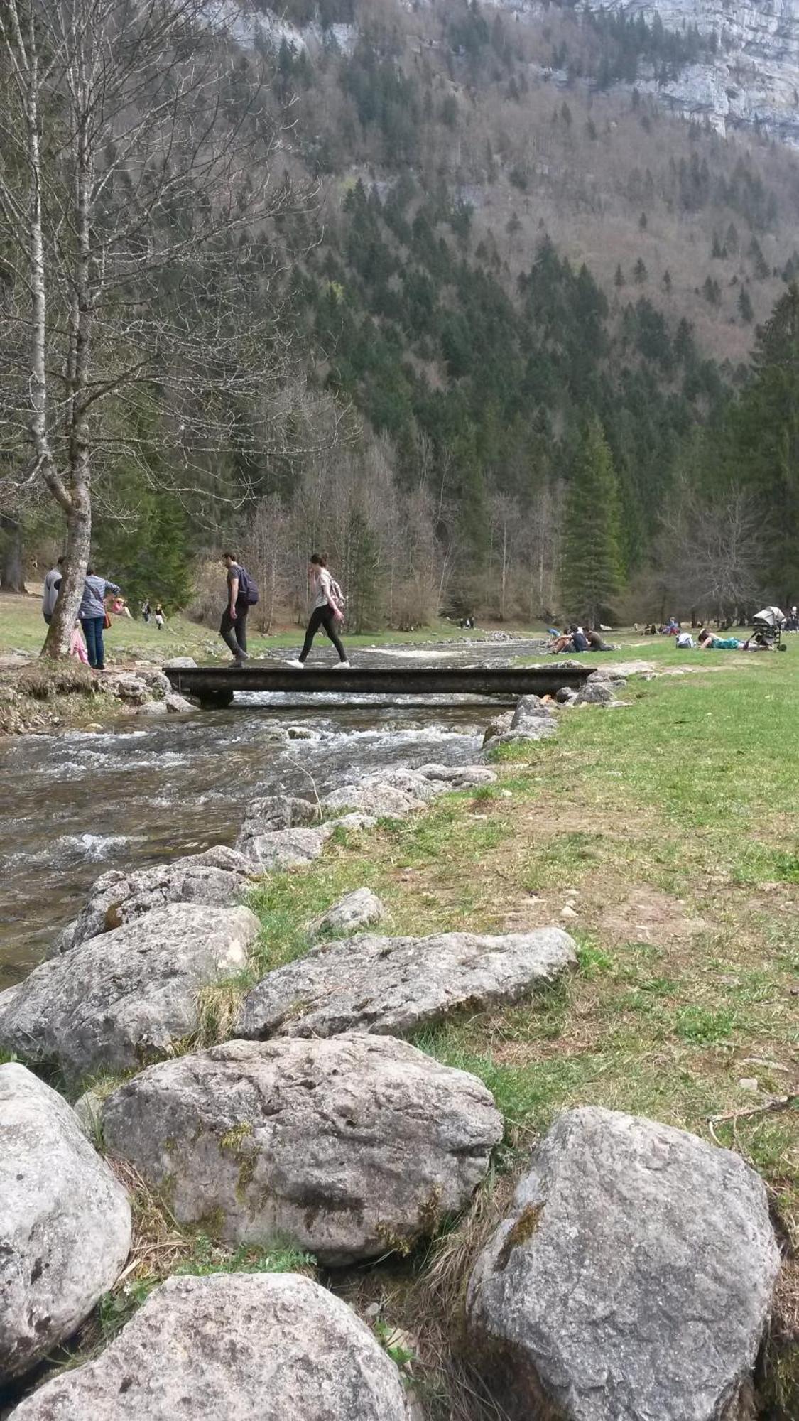 Les Tilleuls Saint-Jean-d'Avelanne Exteriör bild